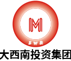 大西南集團(tuán) 大西南集團(tuán)